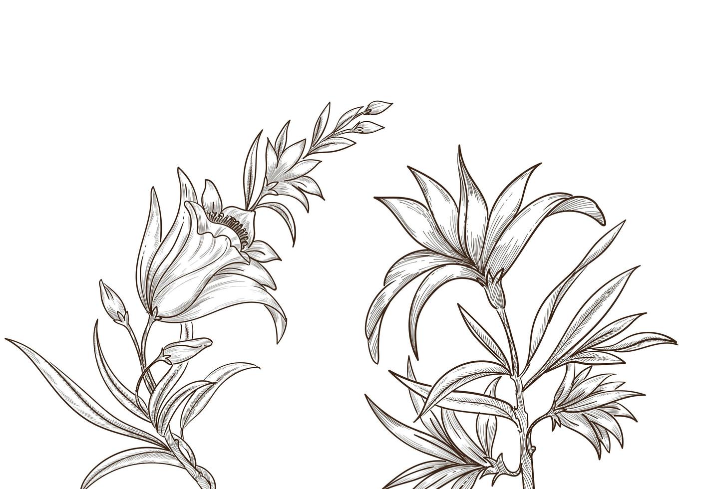 Beautiful artistic sketch floral design vector