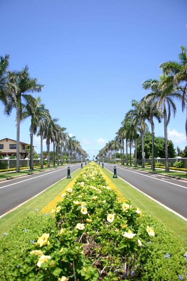avenida en hawaii foto