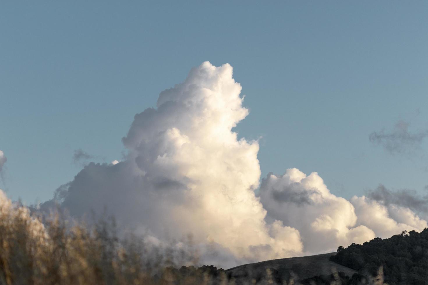 enorme nube con césped en primer plano foto