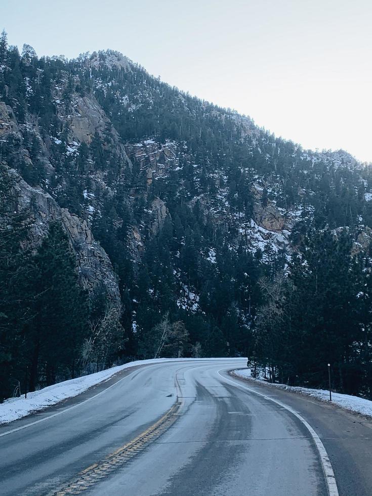 Carretera de asfalto gris entre árboles durante el día foto