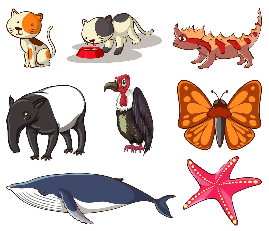 gran conjunto de vida silvestre con muchos tipos de animales. vector