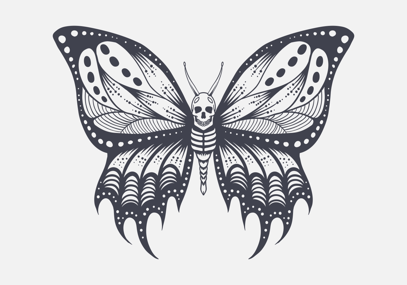 Skull butterfly illustration 1309231 Vector Art at Vecteezy