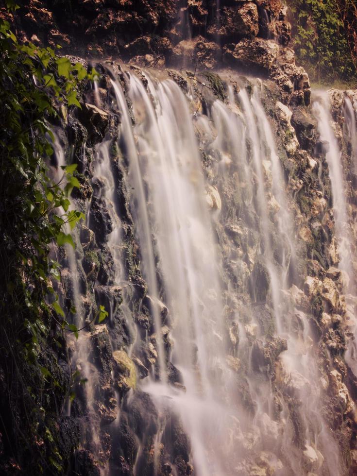 Waterfall and ivy photo