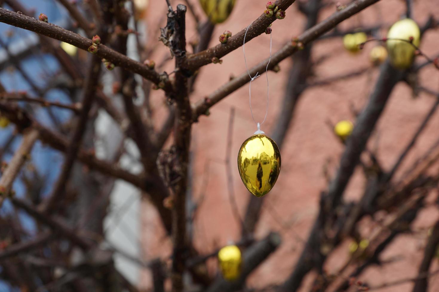 decoración de pascua en un árbol foto