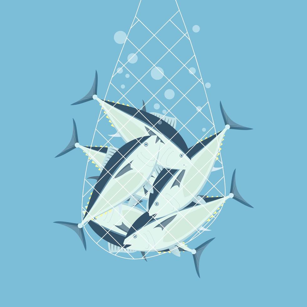 Blue fin tunas in net vector