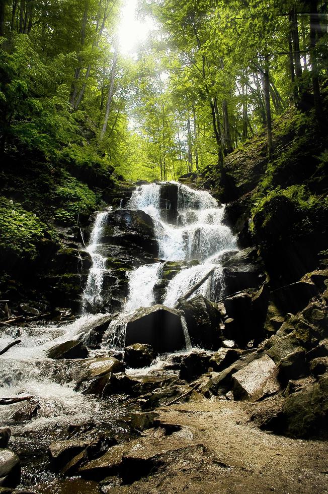 Small waterfall in the forest photo