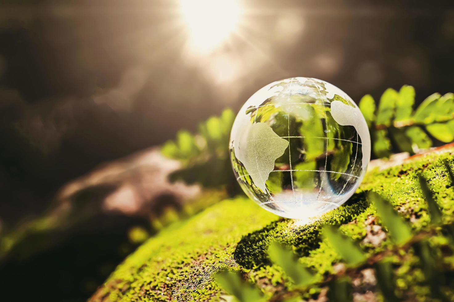 Glass globe outside with moss photo