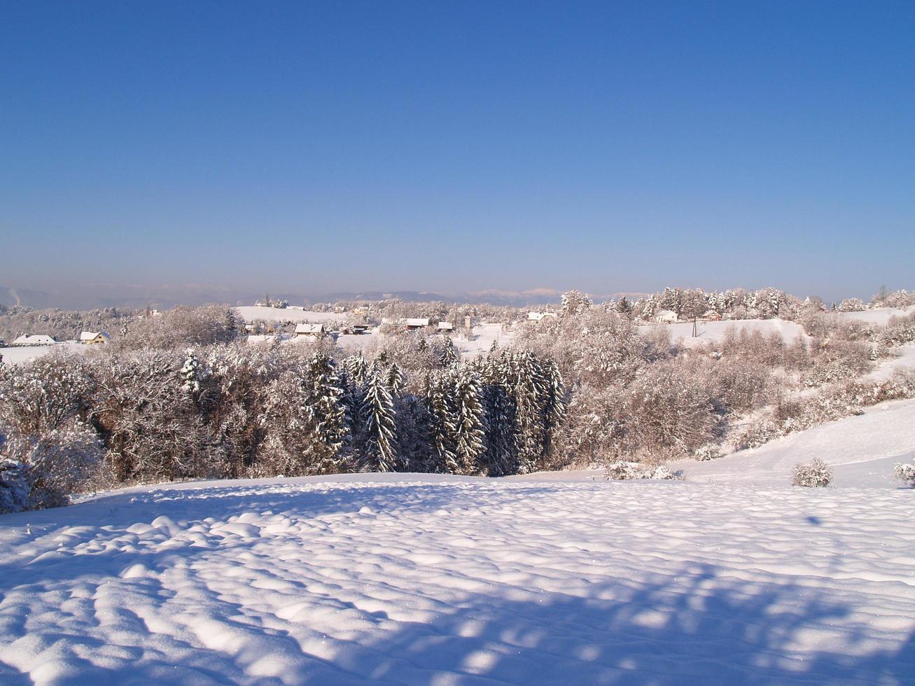 A hill and trees covered in snow with houses in the distance photo