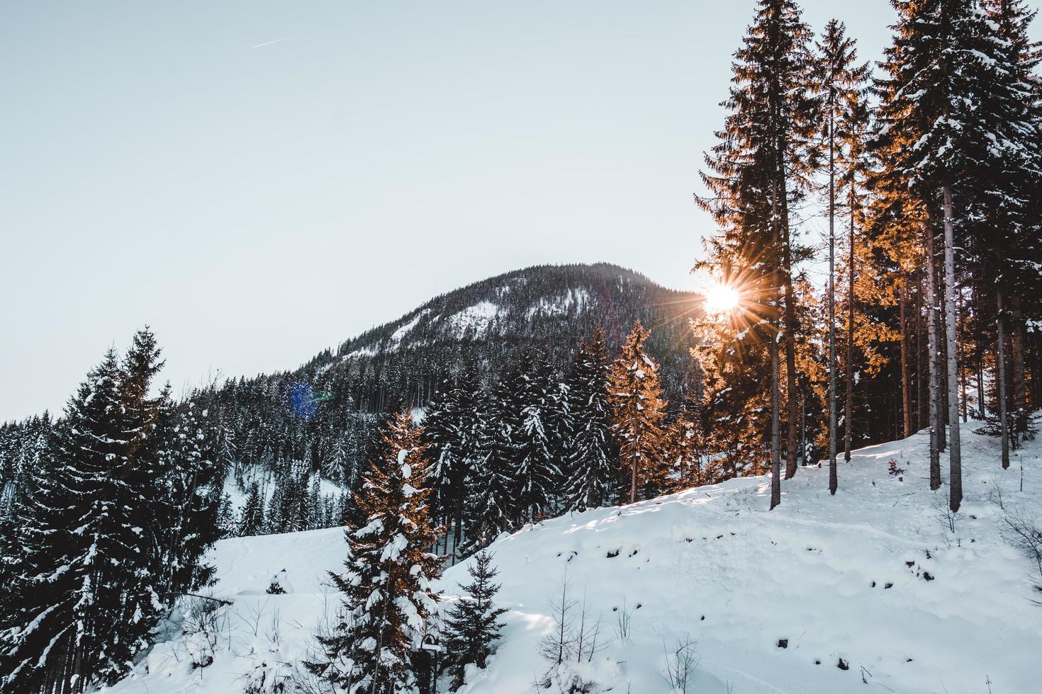 Snowy mountain peak photo
