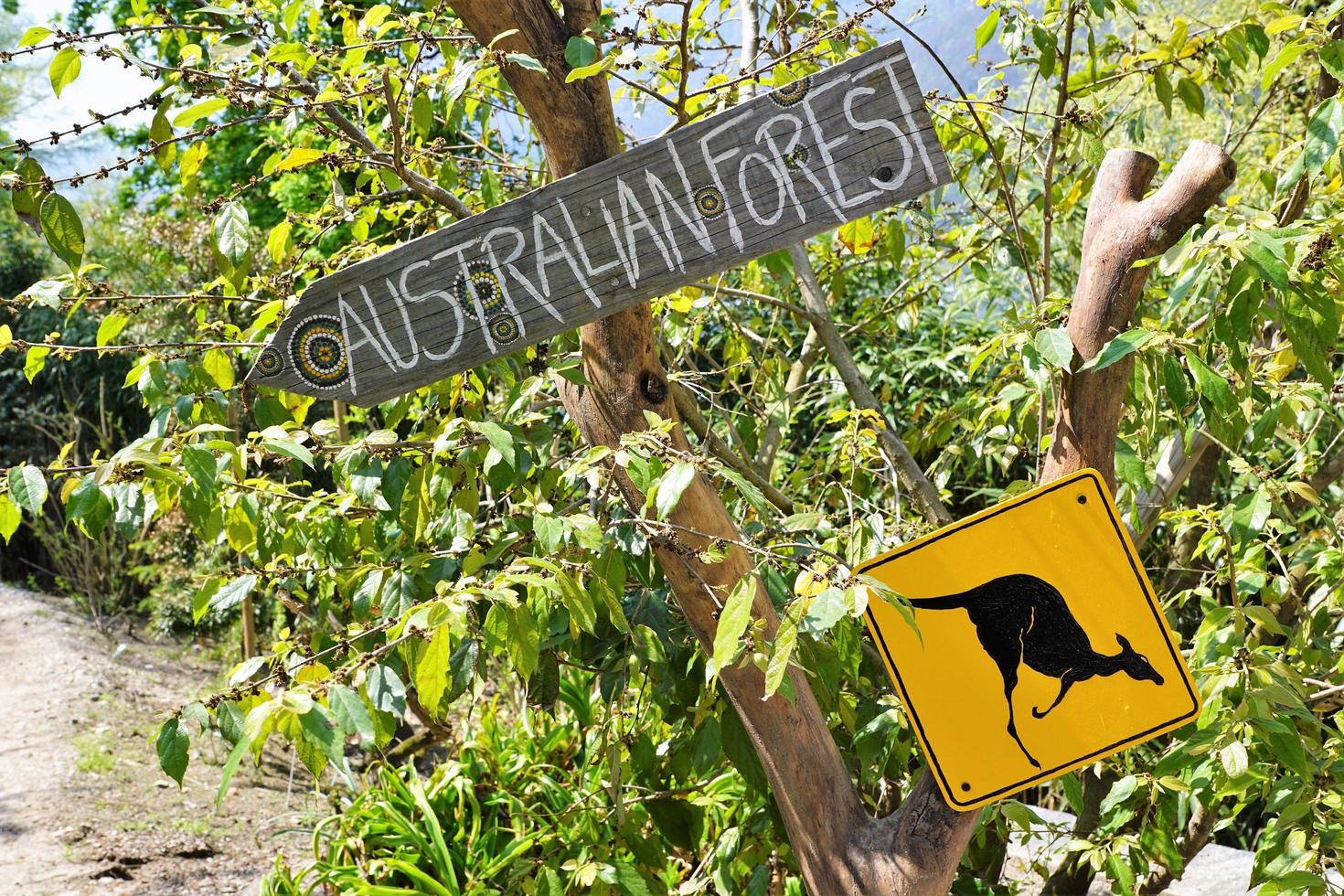 carteles pintados a mano en australia foto