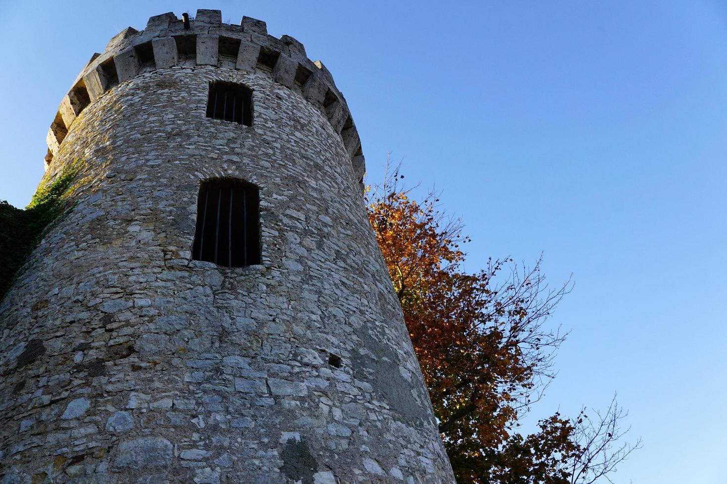 Honing Castle in Tuttlingen photo