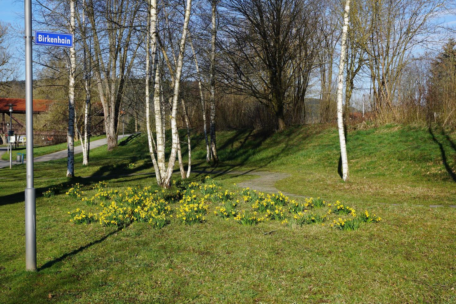 pequeño parque en primavera foto