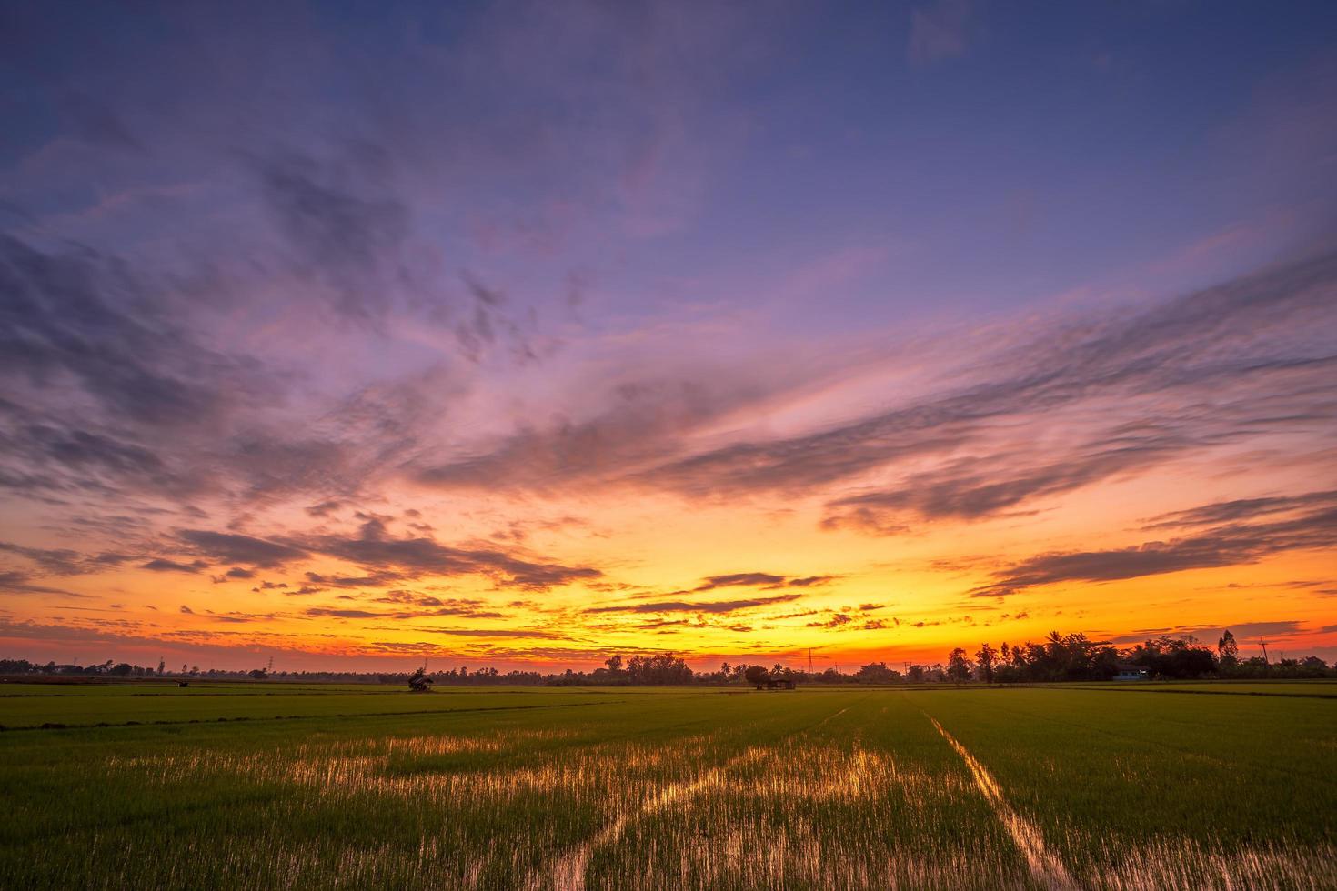 puesta de sol en un campo verde foto