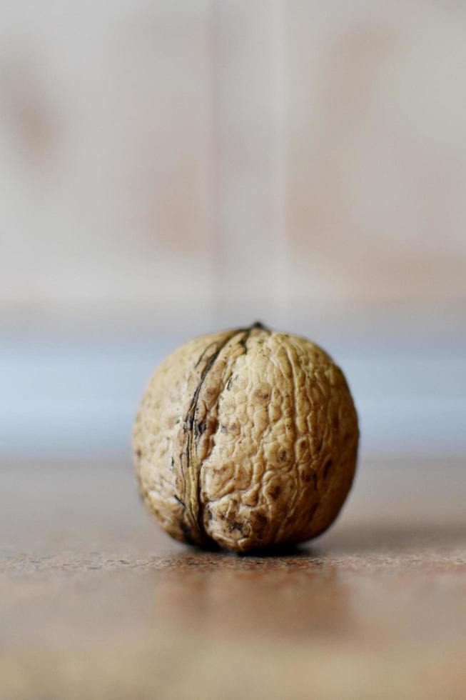 Close up of a single walnut photo