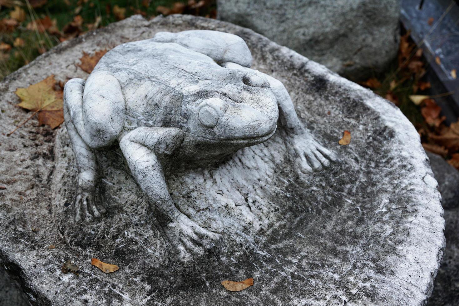 escultura de piedra de la rana foto
