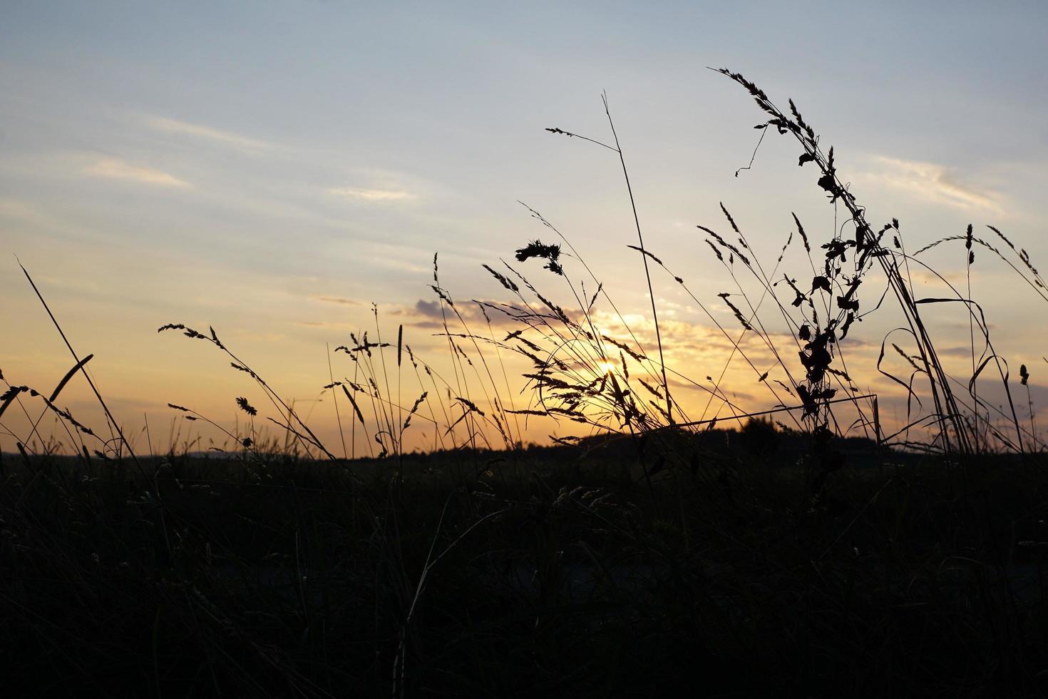 Field in Hegau, Germany photo