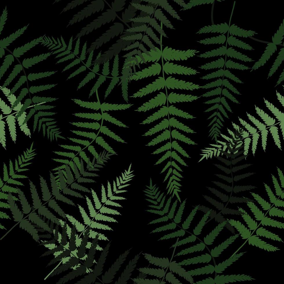 Green fern leaves pattern vector