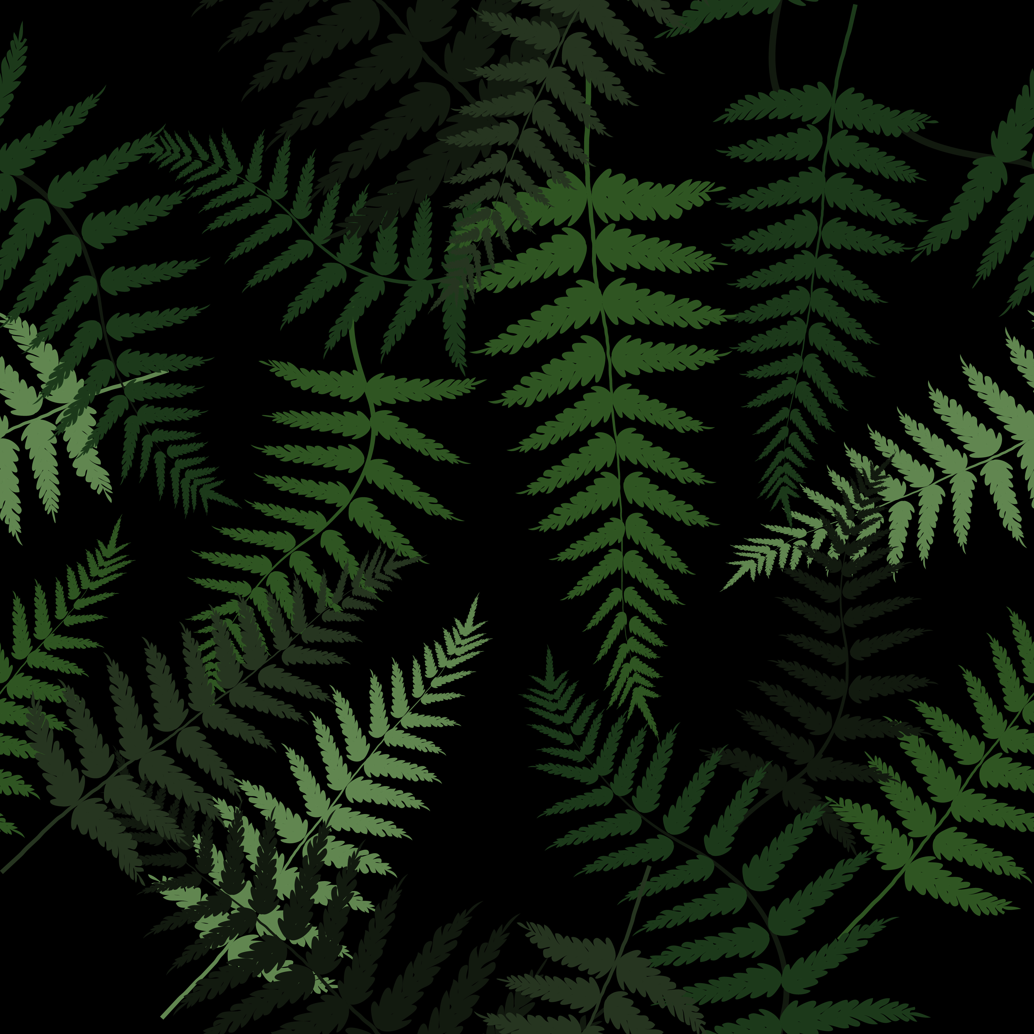 Green fern leaves pattern 1310945 - Download Free Vectors, Clipart