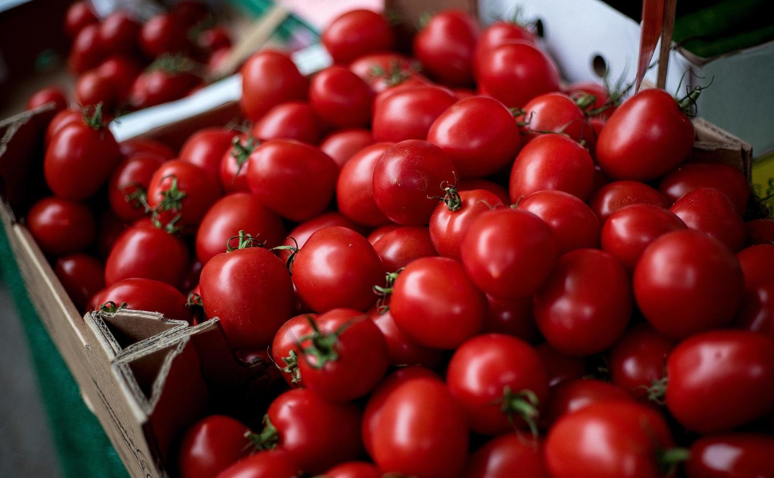 Red cherry tomatoes photo