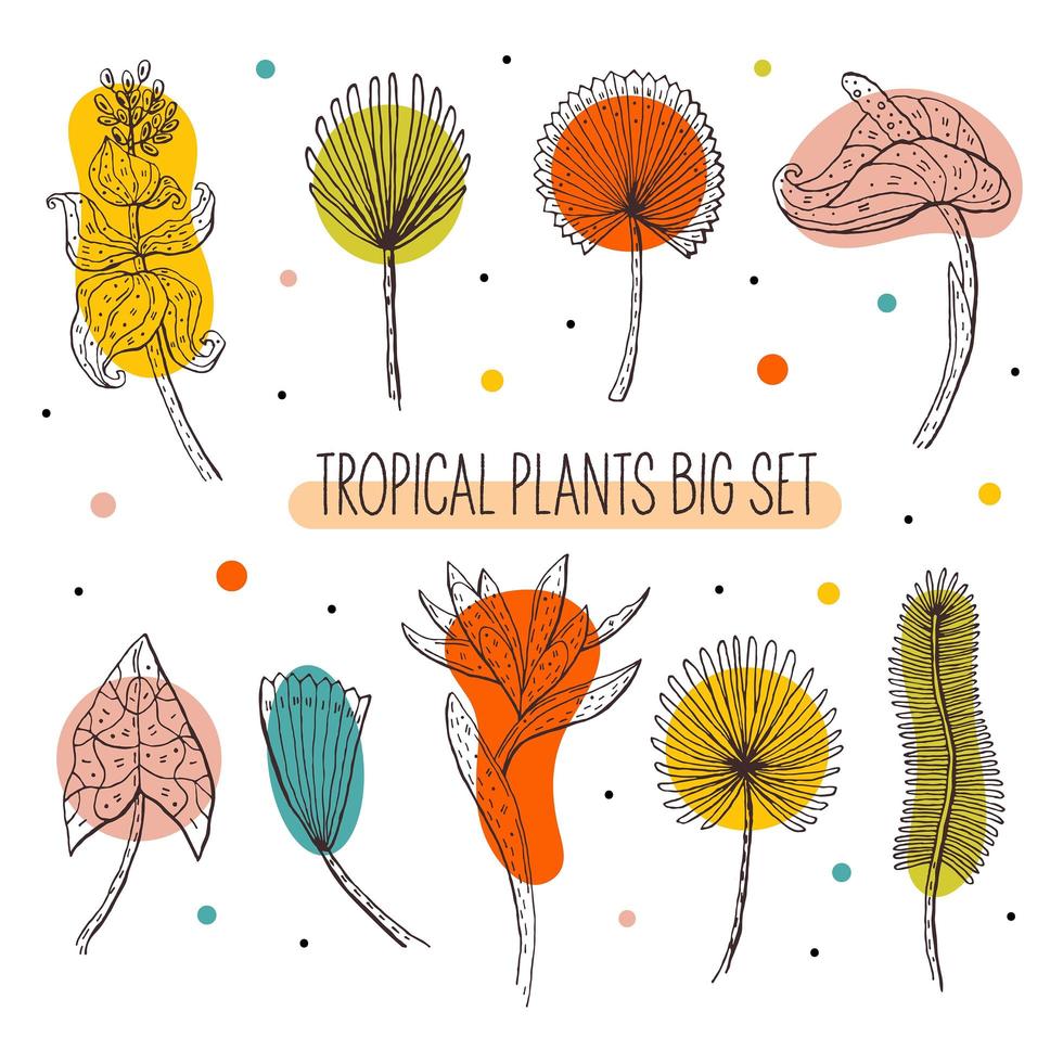 Set of tropical leaves and flowers vector
