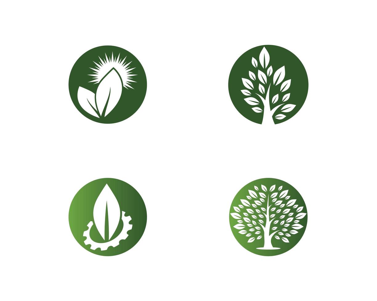 plantilla de logotipo de ecología vector