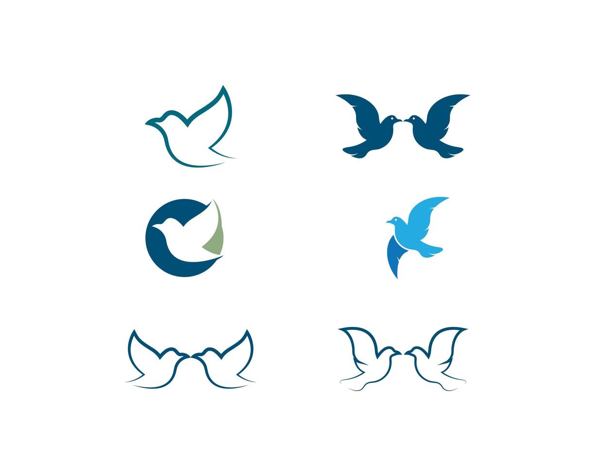Dove logo template icon vector