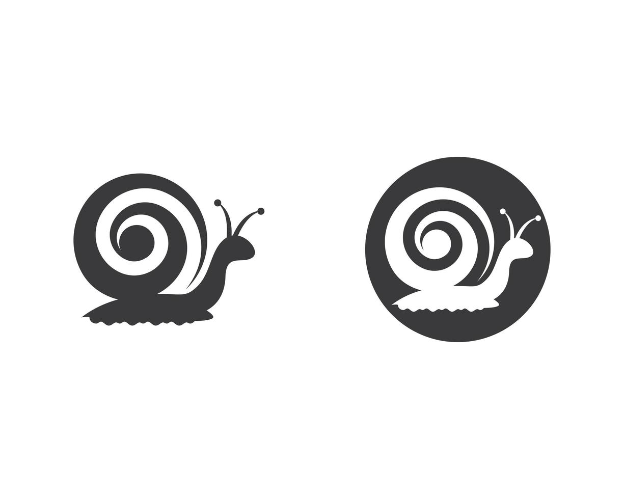 Snail logo template  vector