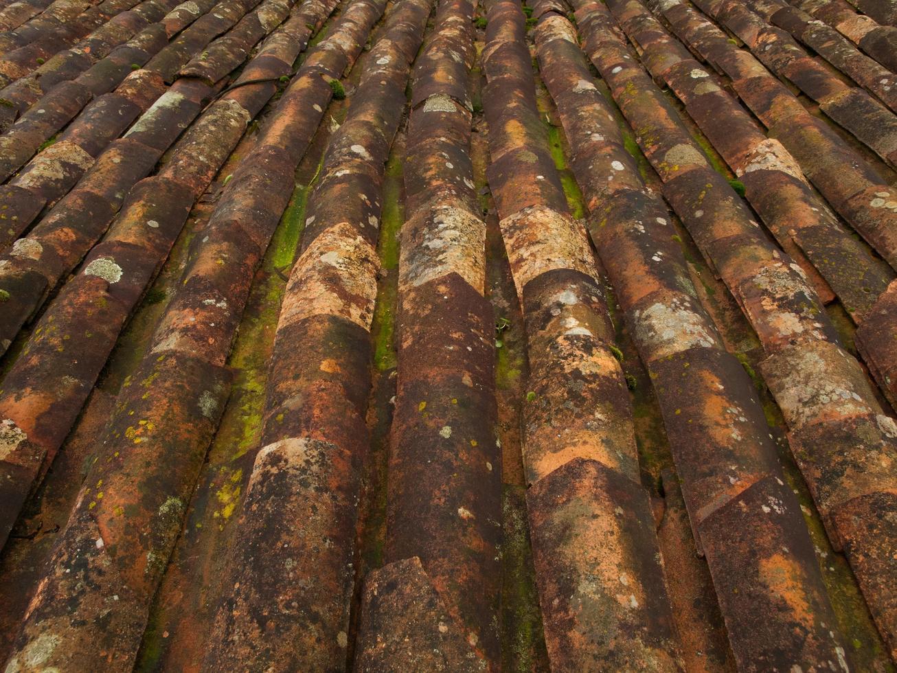 Old rusted roof tiles photo