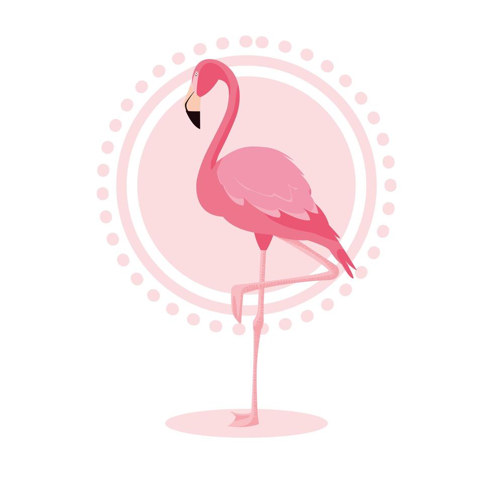 Beautiful flamingo bird stand vector