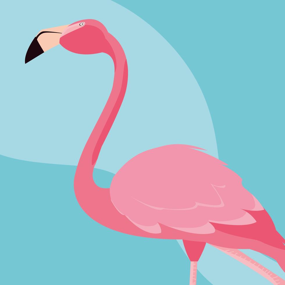 Beautiful flamingo bird stand vector