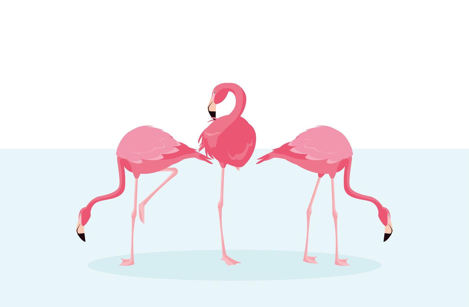 Beautiful flamingos birds flock standing vector