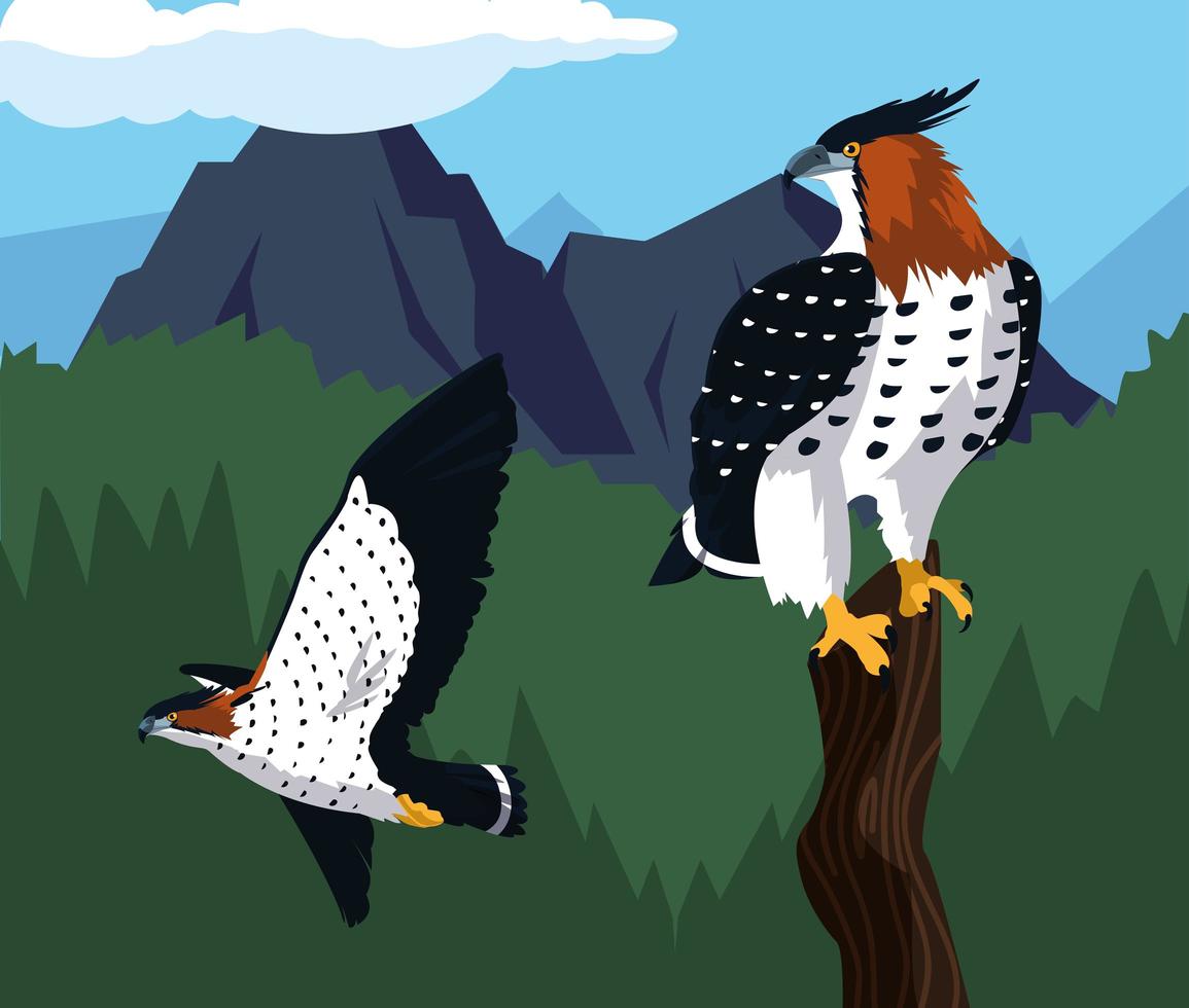 imponente halcón en la rama con paisaje vector