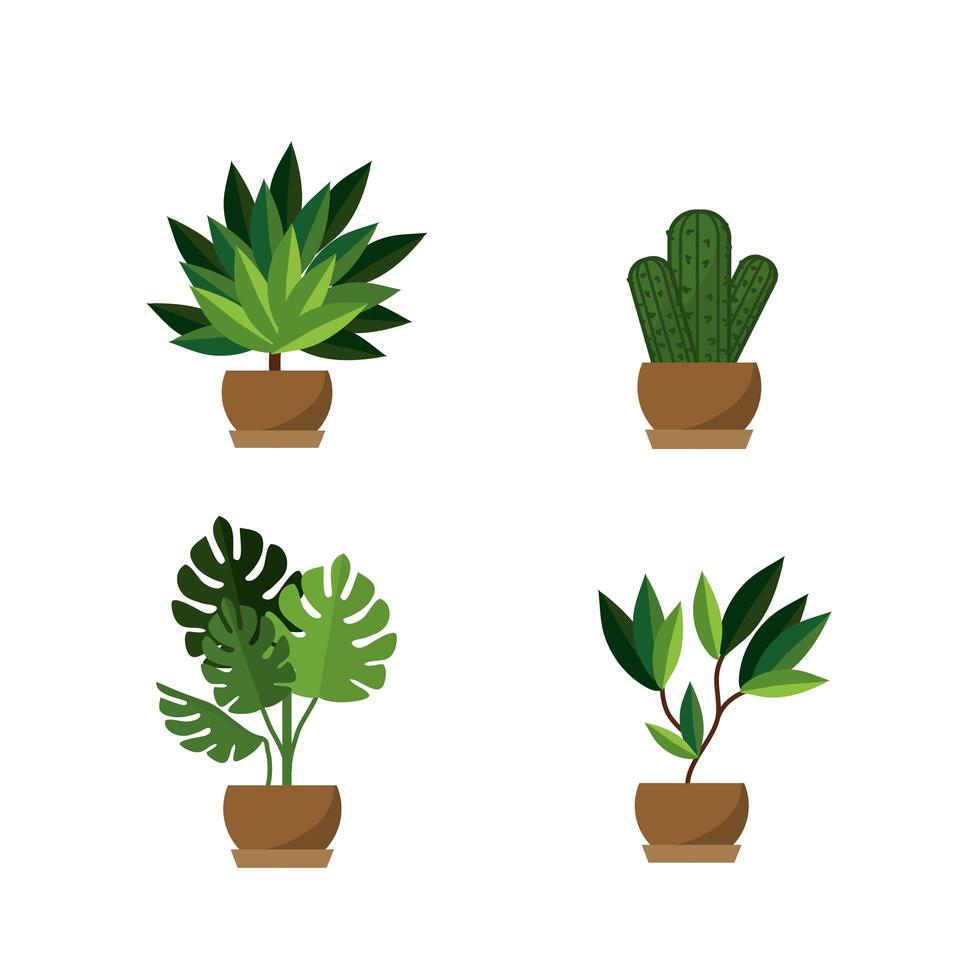 conjunto de iconos de plantas en macetas vector