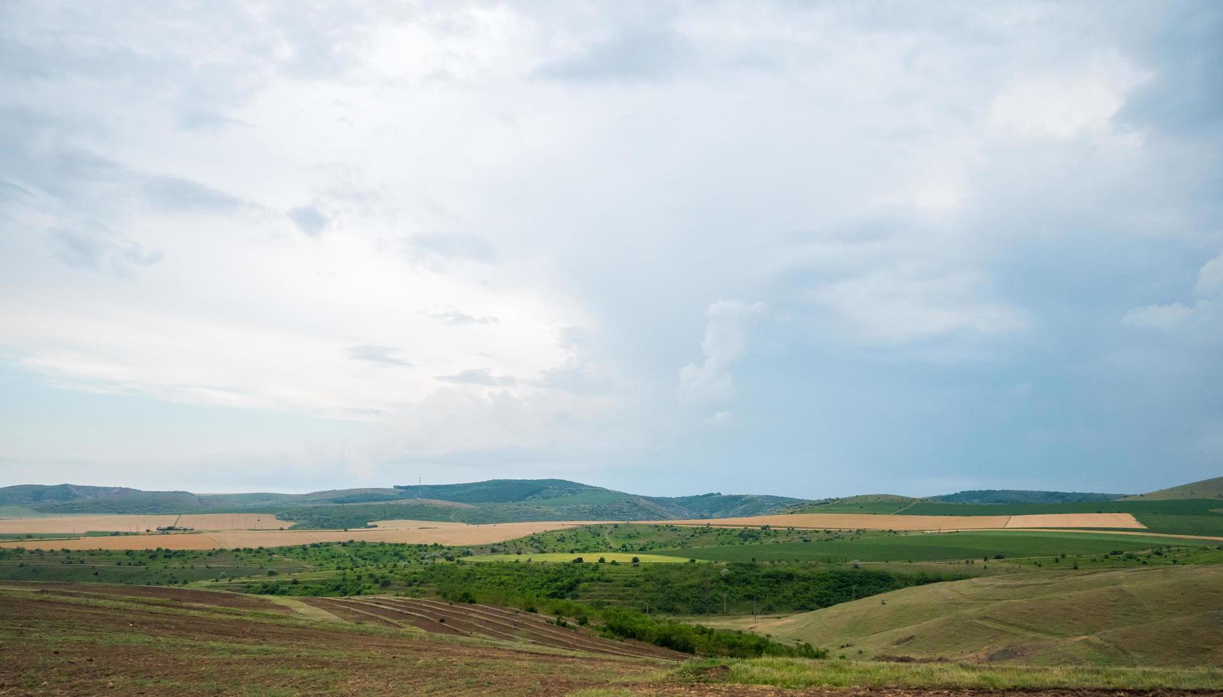 Field under a cloudy sky photo