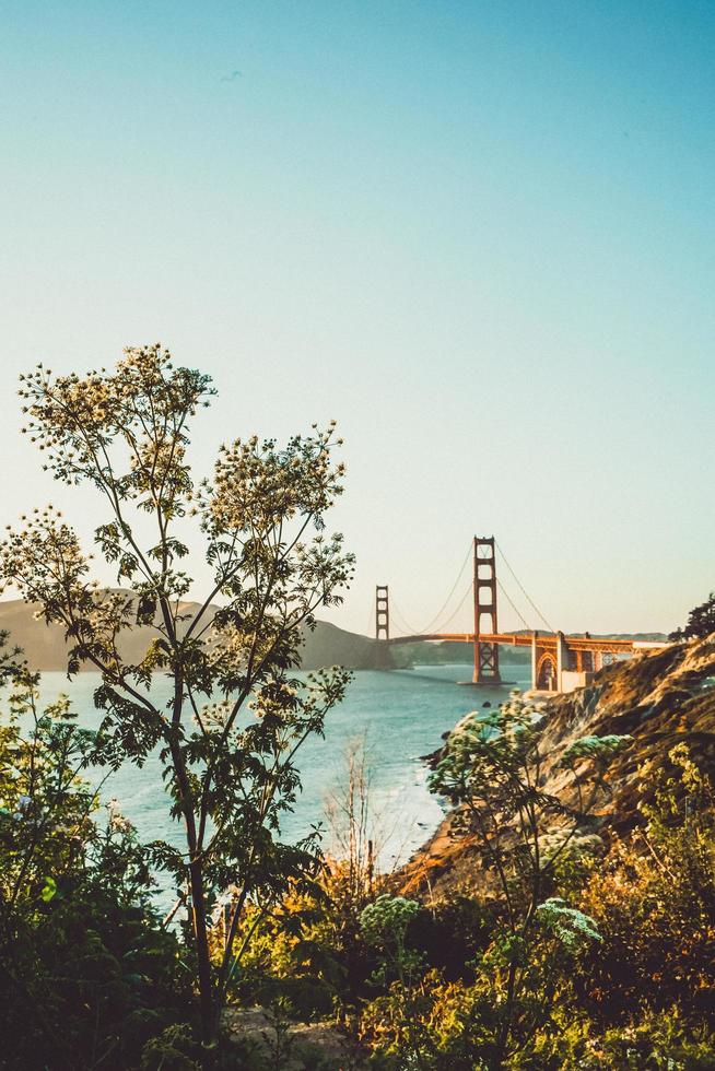 puente golden gate bajo un cielo azul foto