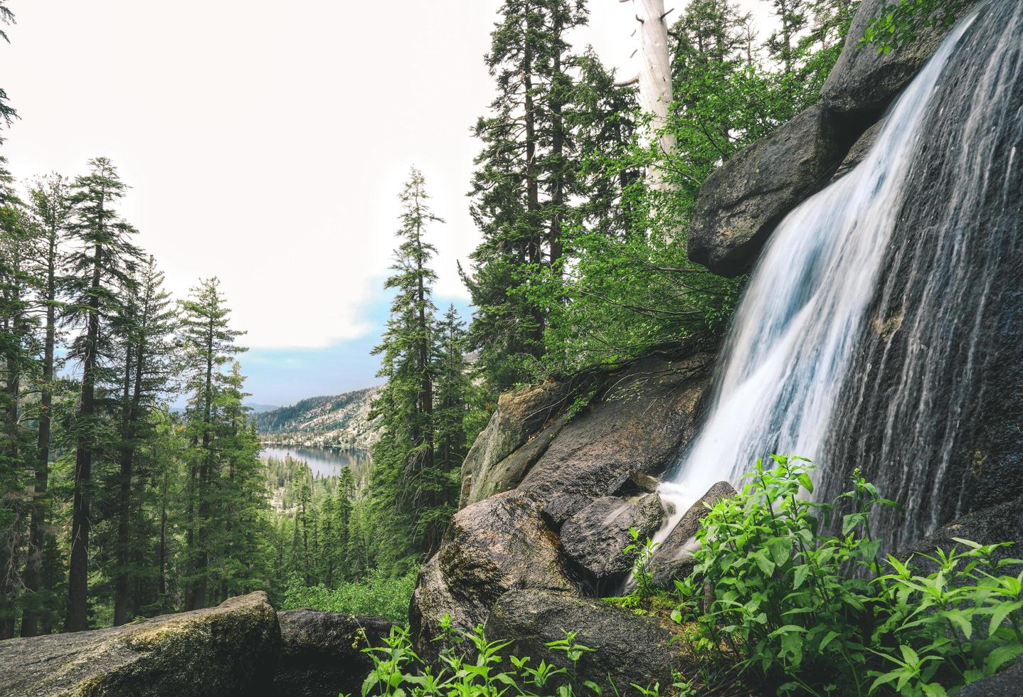 Waterfalls near trees photo