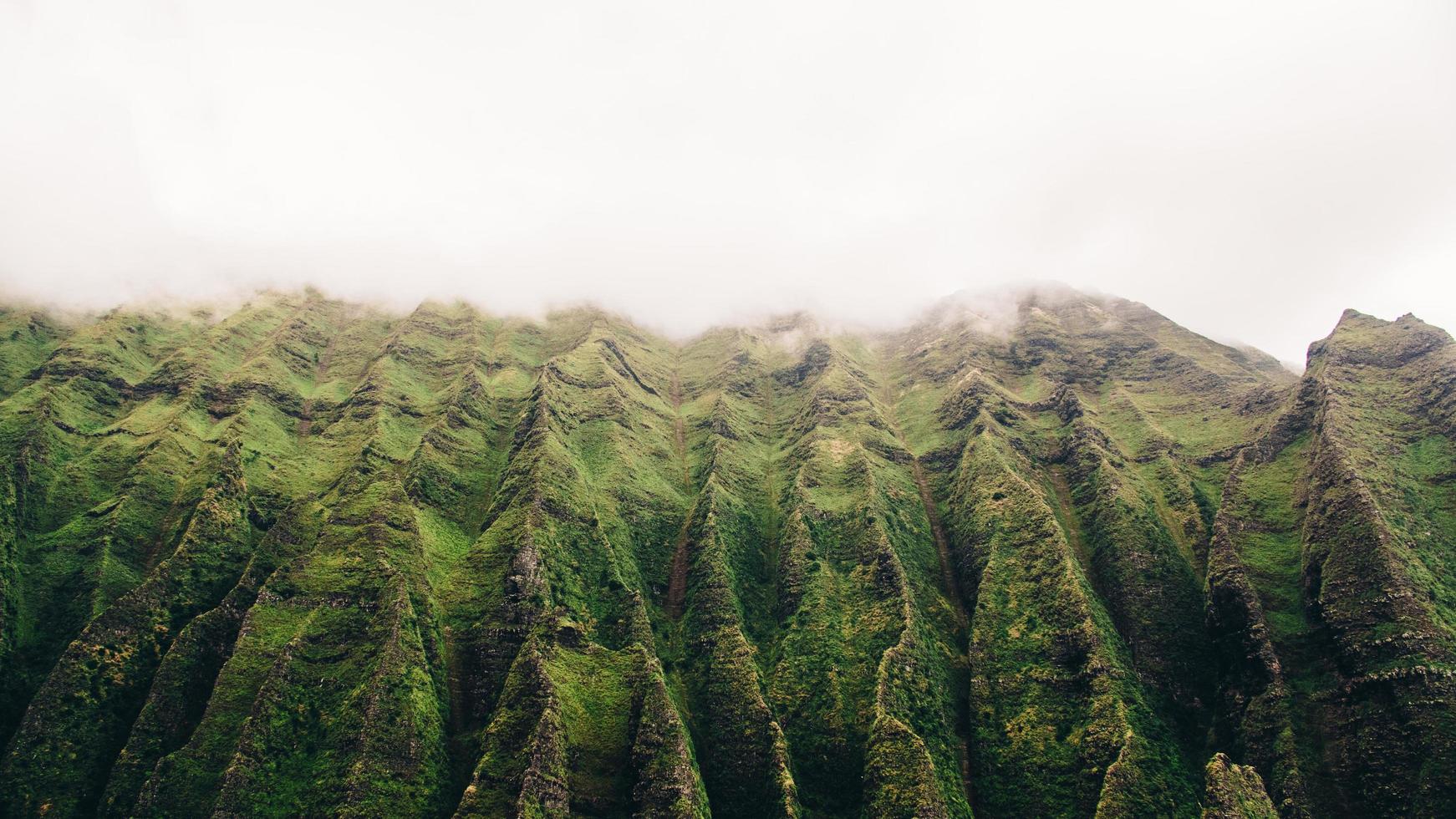 Green curved mountain photo