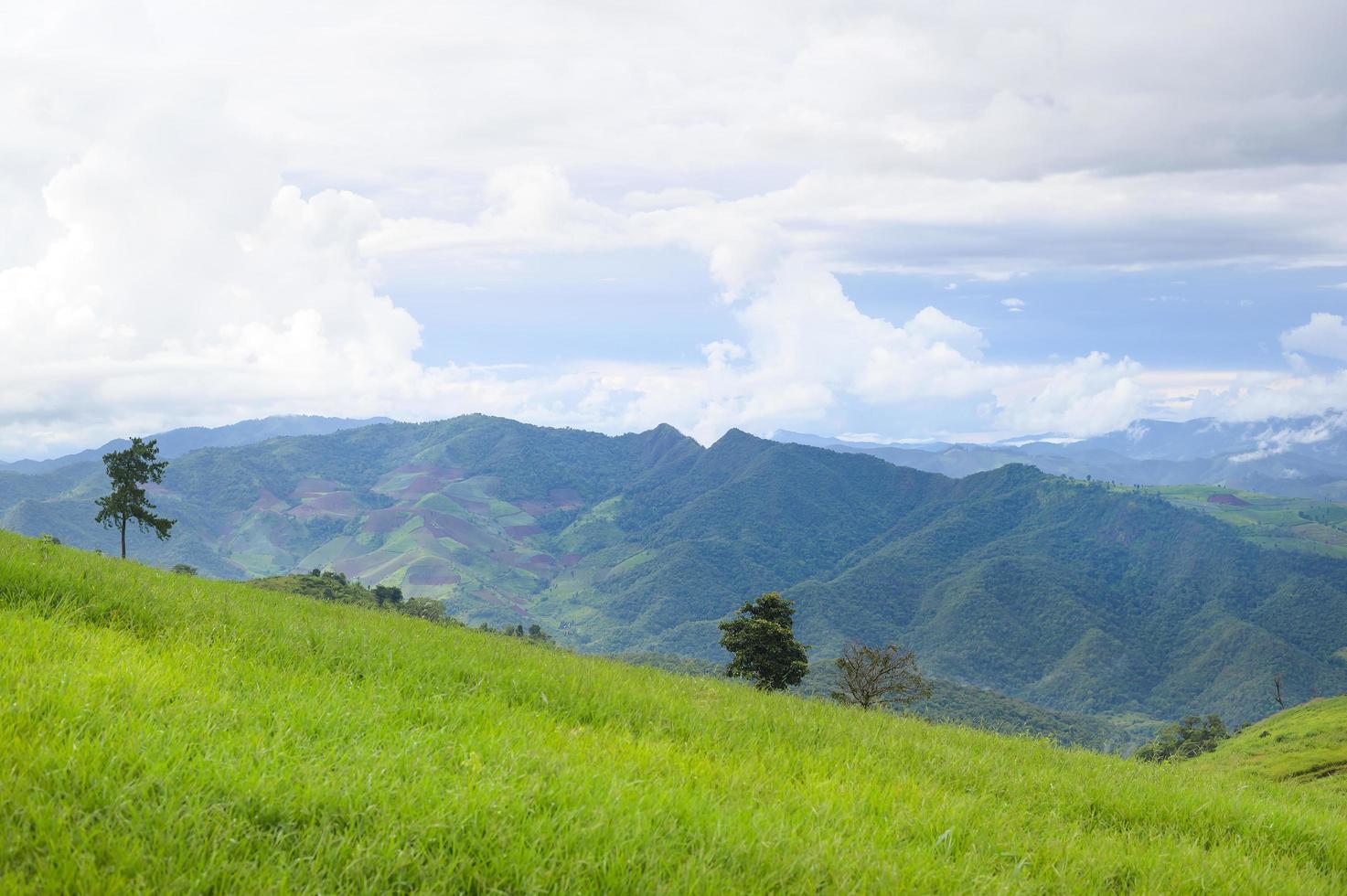 hermosa vista a la montaña verde en temporada de lluvias foto