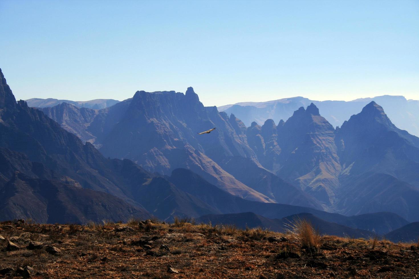 Eagle soaring above mountain peaks photo