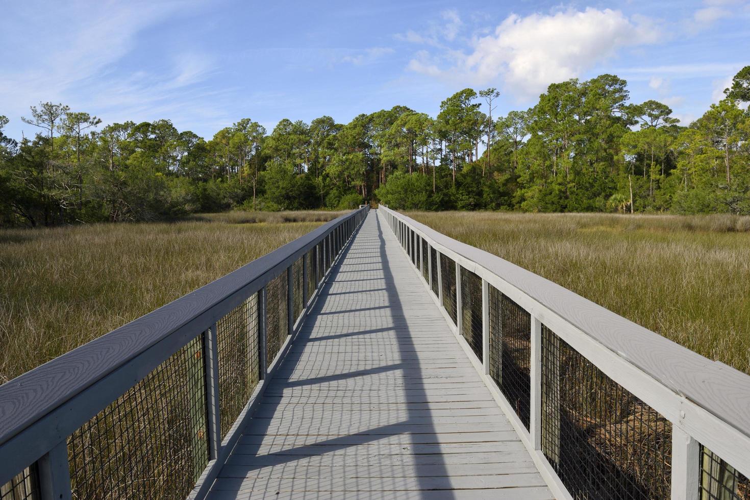 Boardwalk over the marshland photo