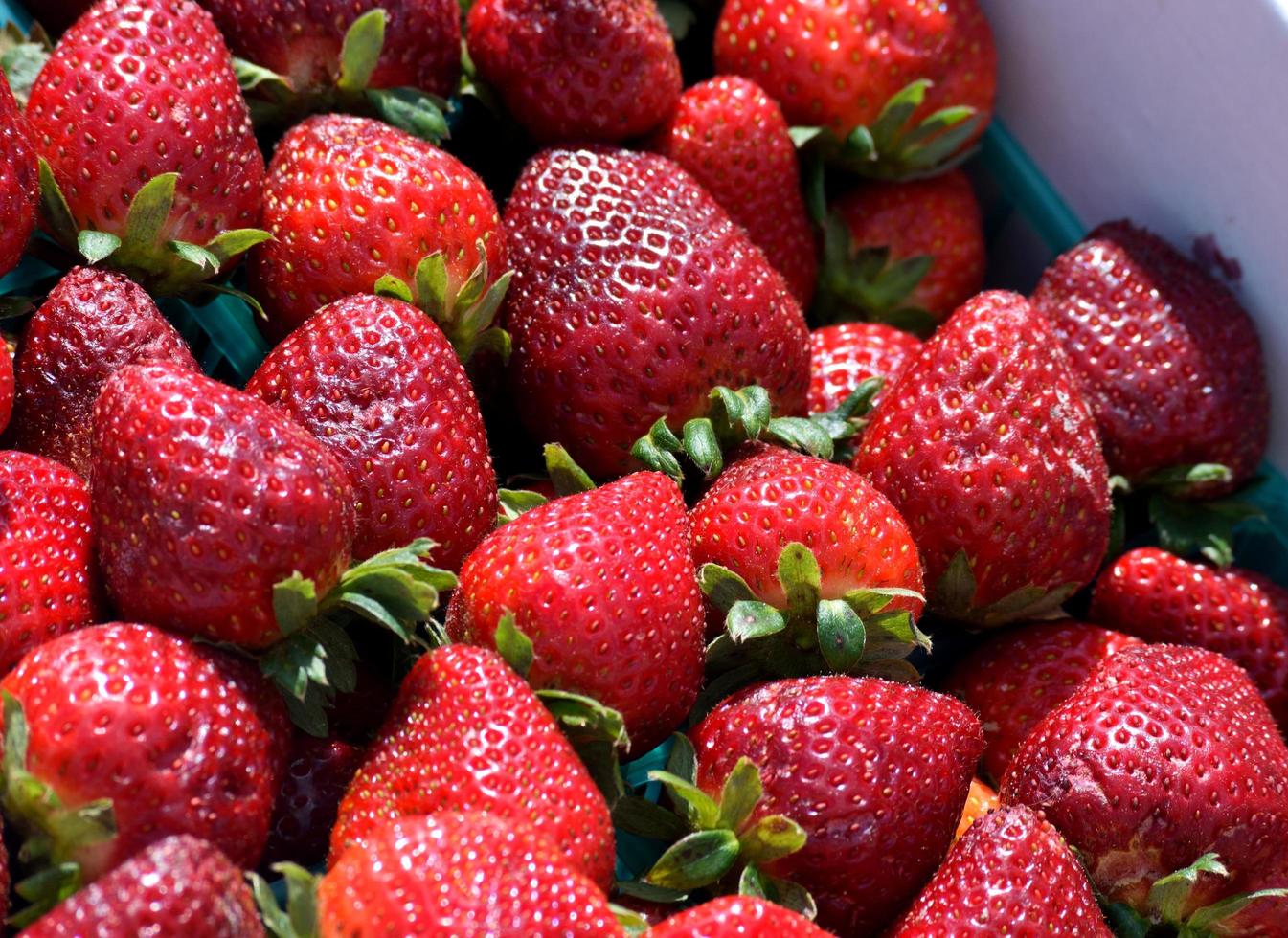 Fresh, delicious strawberries photo