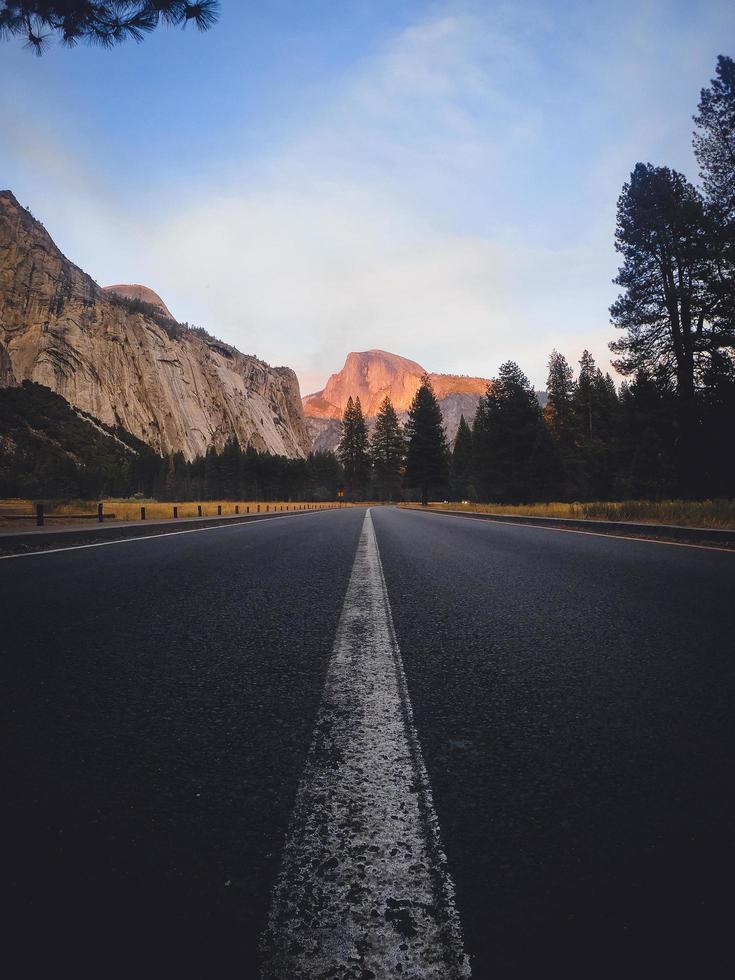 Empty concrete road beside trees photo