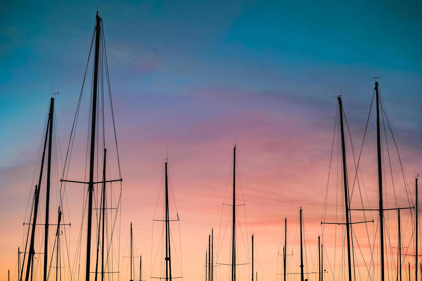 Silhouette photography of sailboats photo