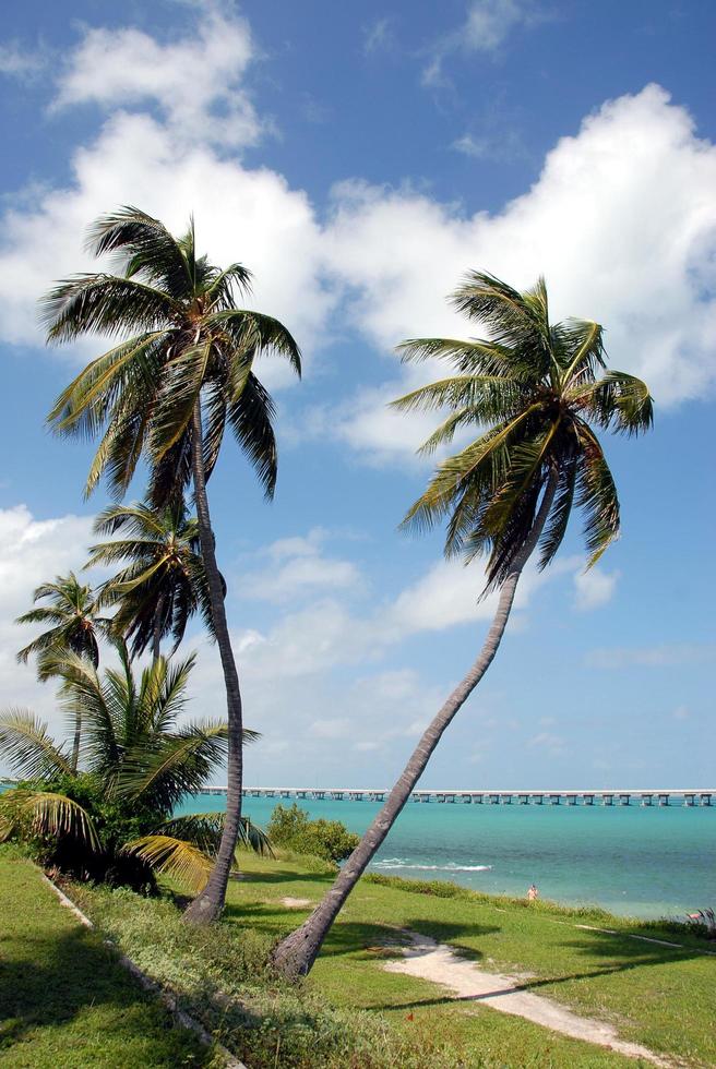 Parque Estatal Bahía Honda en Cayos de Florida foto