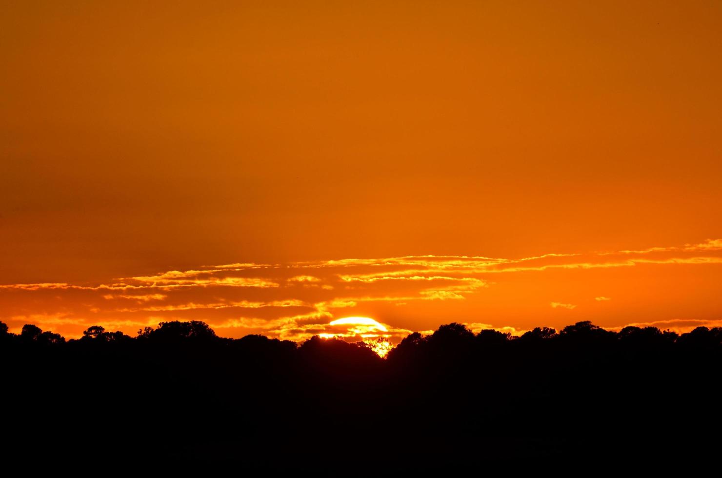 atardecer en florida foto