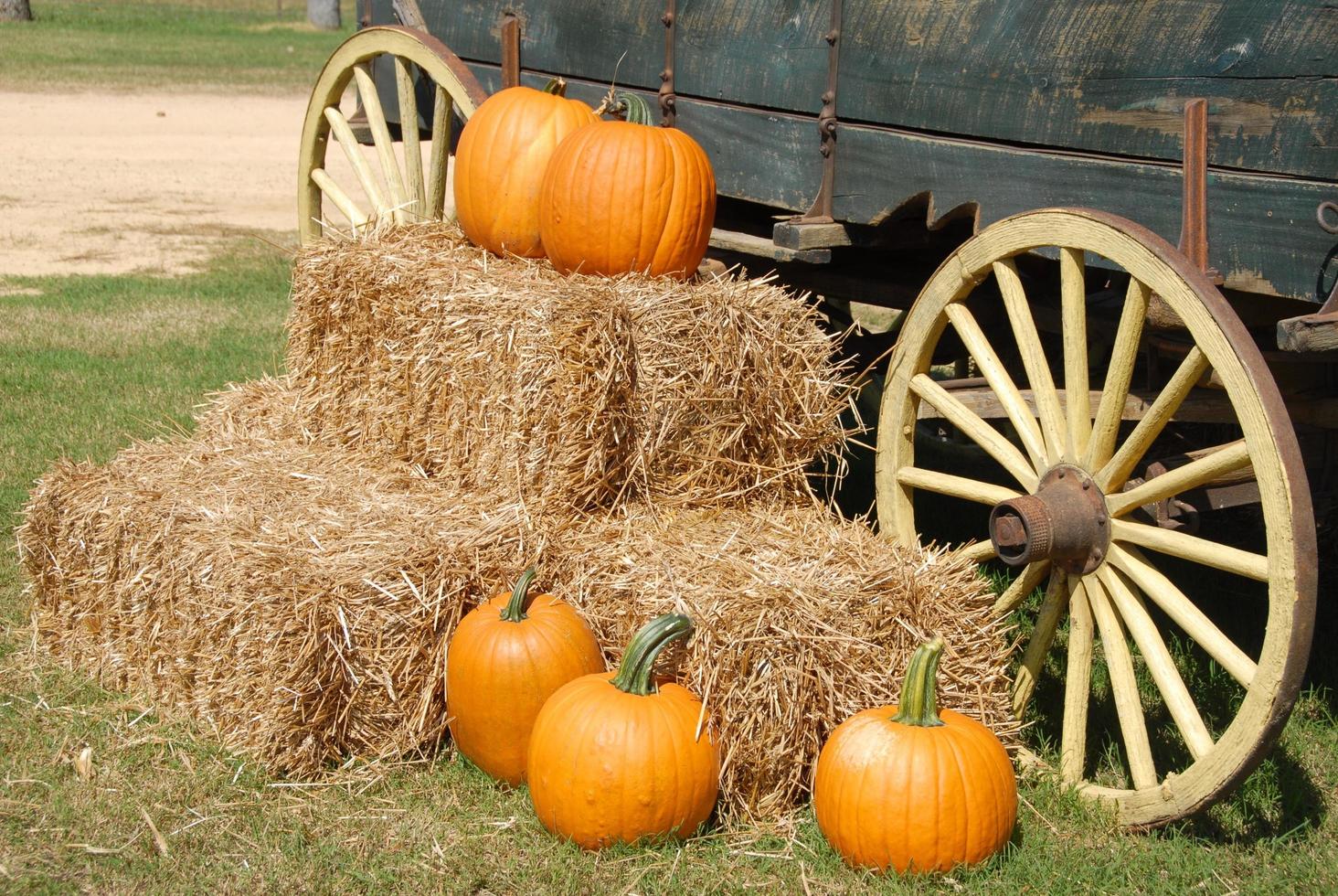 calabazas en un carro foto