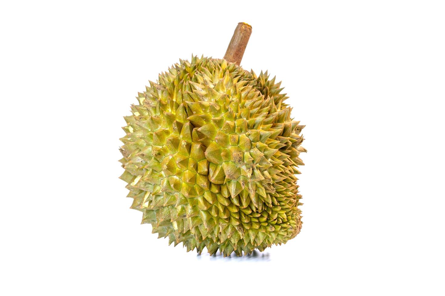 Close-up of a durian fruit photo