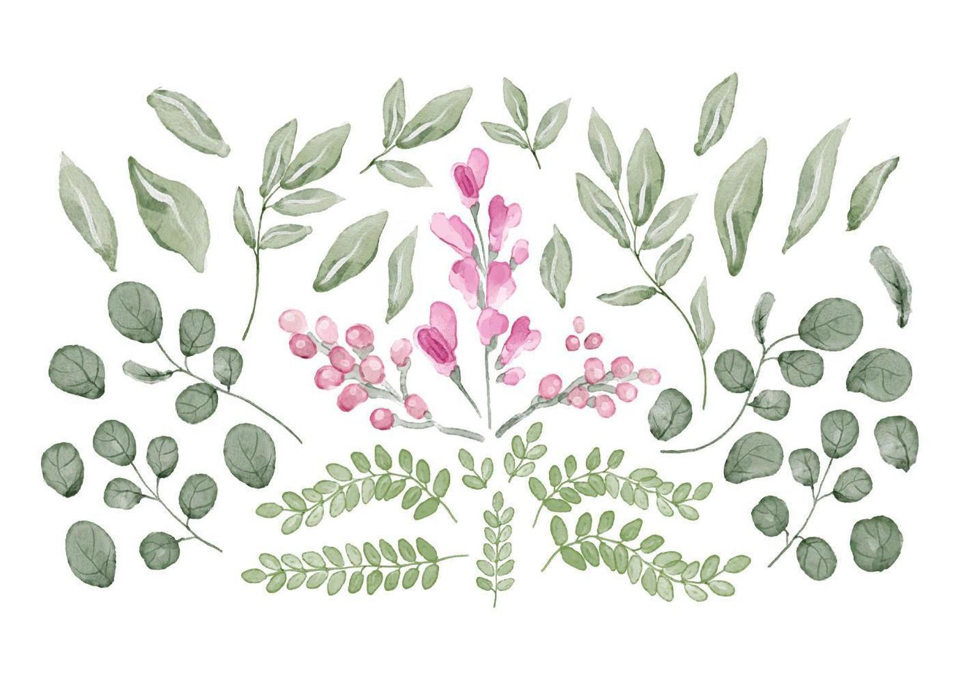 Collection of Leaves and Flowers in Watercolor vector