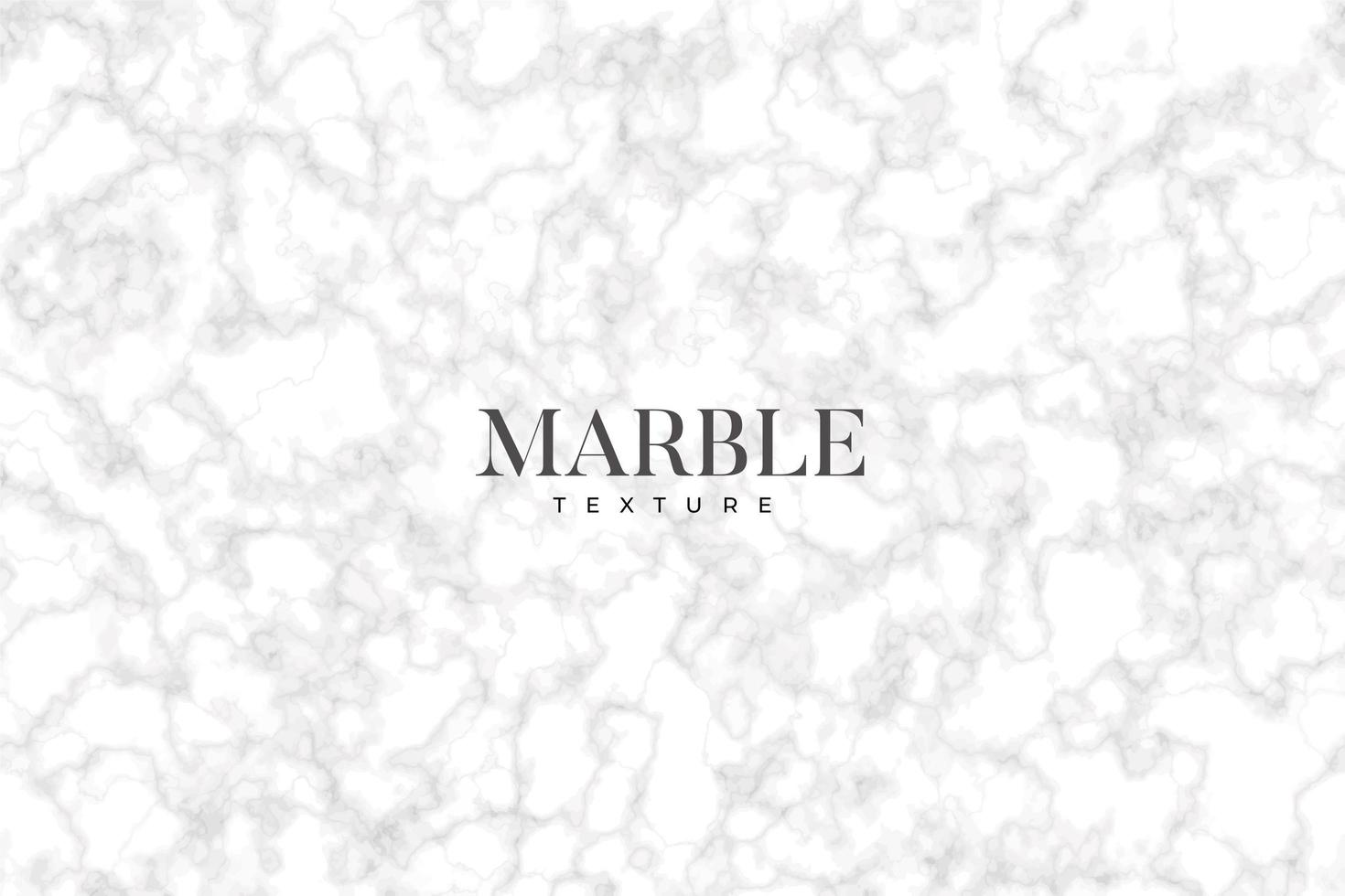 Gray and white marble texture vector