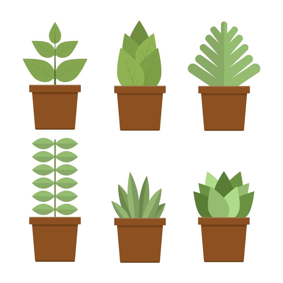 Plant in pot set vector